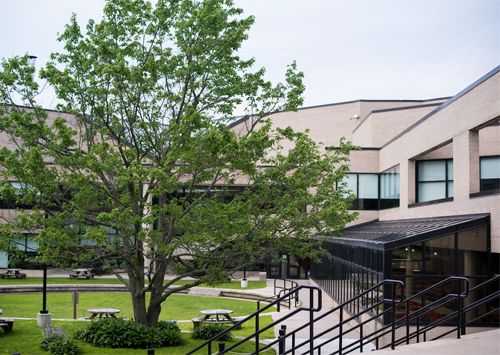 Photo of the courtyard and picnic tables shaded by a large tree outside Sundowner Dining Hall